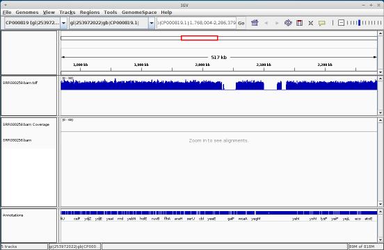 Integrated Genome Viewer Advanced usage : Igv Tools - Computing