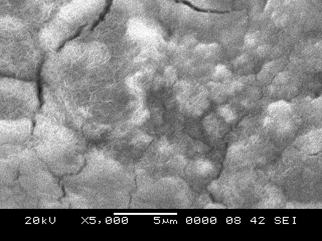 2 ) 6 x 2 cm 2 0.33 166.04 1.19 44.49 693.69 3.2. Scanning Electron Microscope ( SEM ) Titanium dioxide coated and Carbon coated with thickness 0.