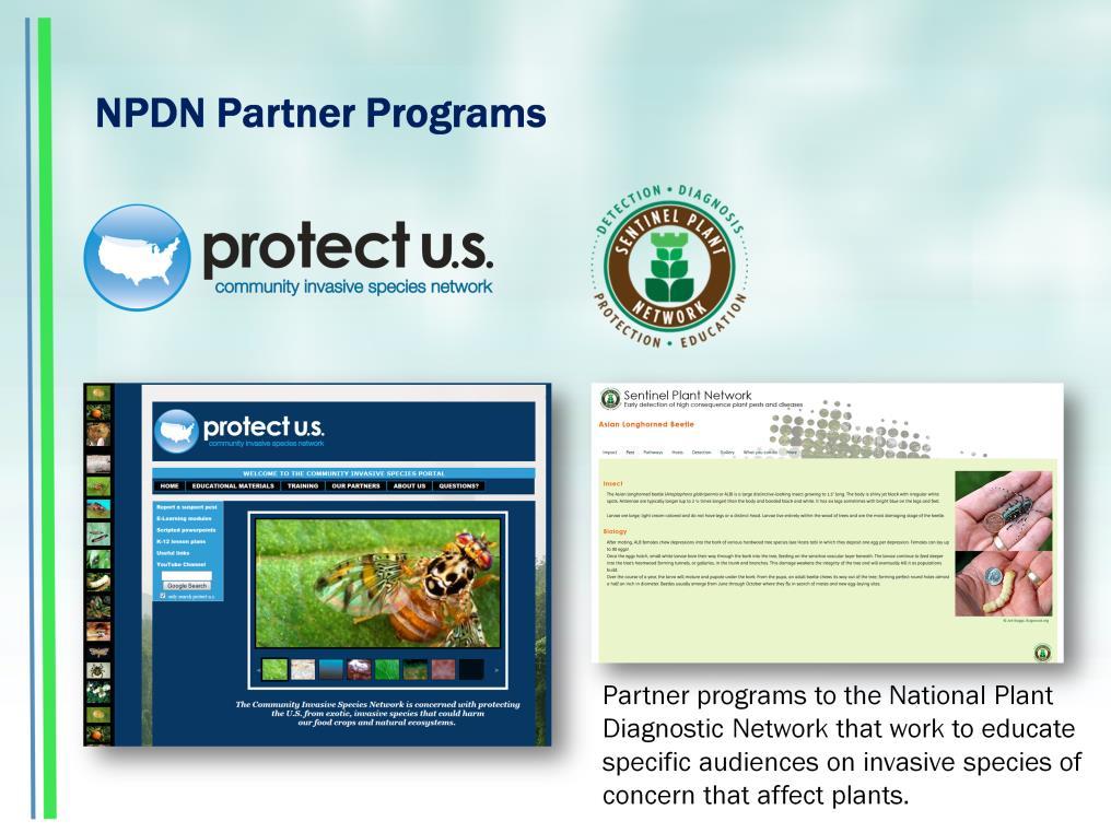 Protect U.S. and the Sentinel Plant Network are partner programs with the National Plant Diagnostic Network. Protect U.S. is involved with invasive species education for small farm producers, homeowner, and K-12.