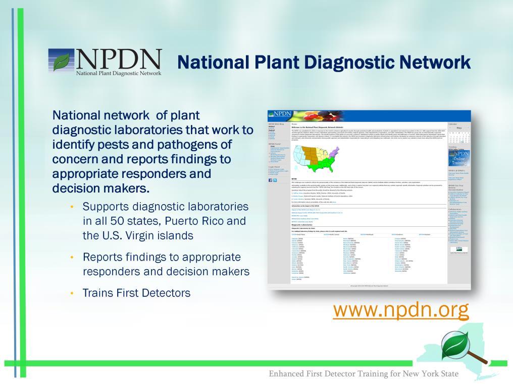 The National Plant Diagnostic Network (NPDN) has diagnostic labs in every state (http://www.npdn.org/).