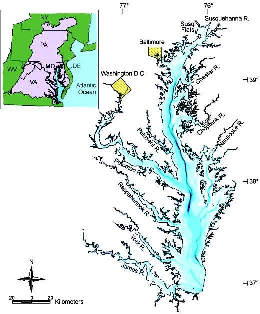 Key Bay Features Watershed huge compared to estuary (14:1) Bay is closely connected to the land (11,000 miles shoreline; 9 major rivers) Channel is stratified, isolating deep