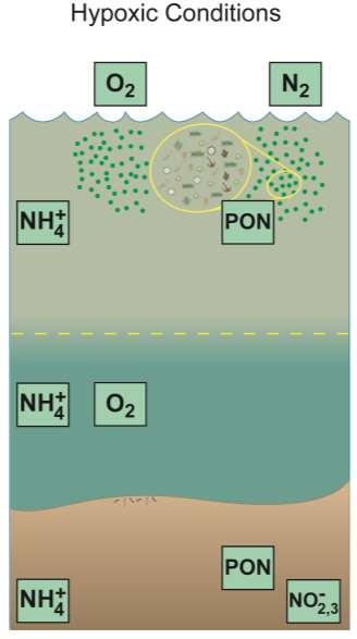 Tipping Points: Oxygen Interactions with Nitrogen