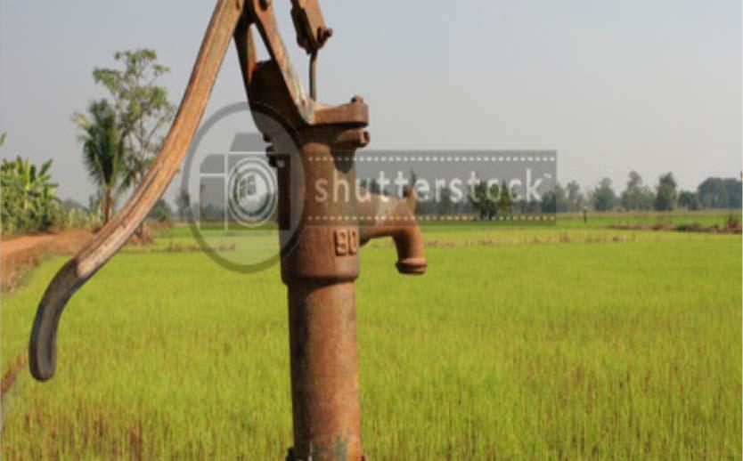 Water Status Irrigation takes