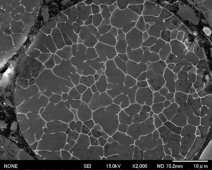 Effect of Consolidation and Extrusion Temperatures on Tensile Properties of Hot Extruded ZK61 Magnesium Alloy Gas Atomized Powders via Spark Plasma Sintering (SEM, JEOL: JSM-655F).