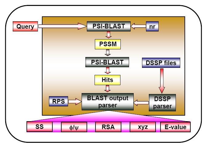 Figure 2.14: Our framework for protein structure prediction. The profile of the query protein is first calculated using nr database with the PSI-BLAST program.