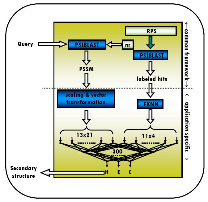 Figure 3.4: The block diagram of the MUPRED protein secondary structure prediction system. The profile of the query protein is used to generate two types of features.