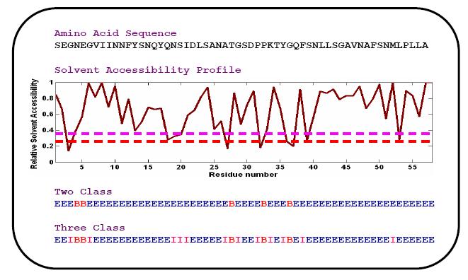 Figure 4.1: The protein solvent accessibility. Top- typical amino acid sequence. Middle- observed relative solvent accessibility profile.