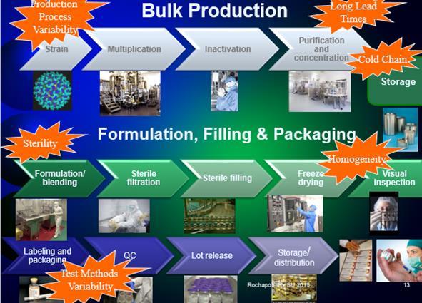 Production processes to be validated (2/2) Some manufacturing processes requiring validation covered in this WHO document: Fermentation Harvesting Purification Viral