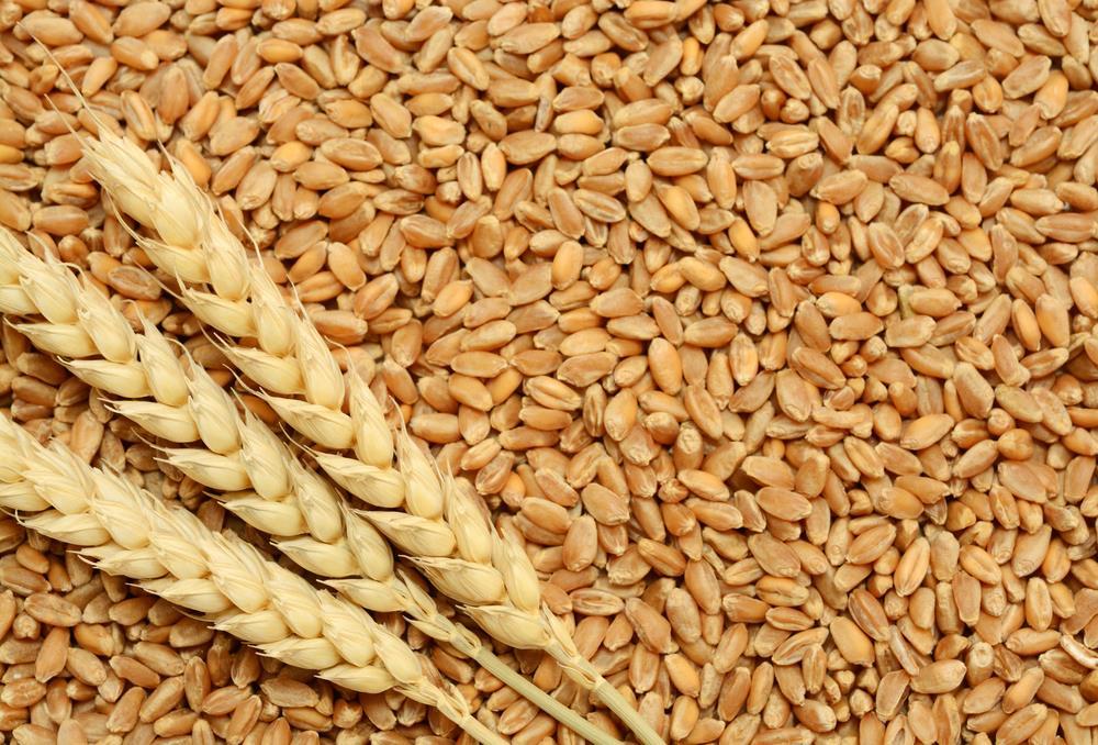 A PROFILE OF THE SOUTH AFRICAN WHEAT MARKET