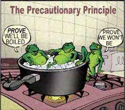 The Precautionary Principle 42 Innovation that Provides