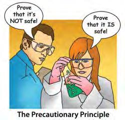 The Precautionary Principle Burden of proof regarding harmful chemical need not apply for action to be taken Apply proactive approach with endof-life management Potential for toxicity during upon