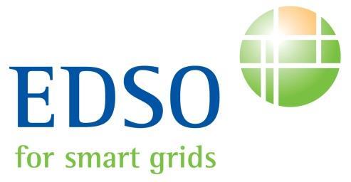 European Distribution System Operators for Smart Grids Retail energy market: