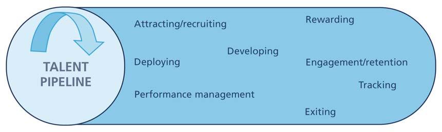 4.2 The HR Strategy has at its core maximising the potential talent of our staff.