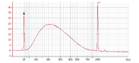 Analysis of amplified prepped library Single peak in the size range of 200-300 nts Agilent DNA