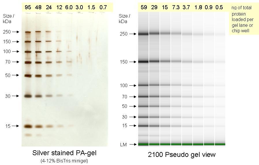 High Sensitivity Protein 250 Kit (HSP-250) Highest sensitivity: Extra wide linear