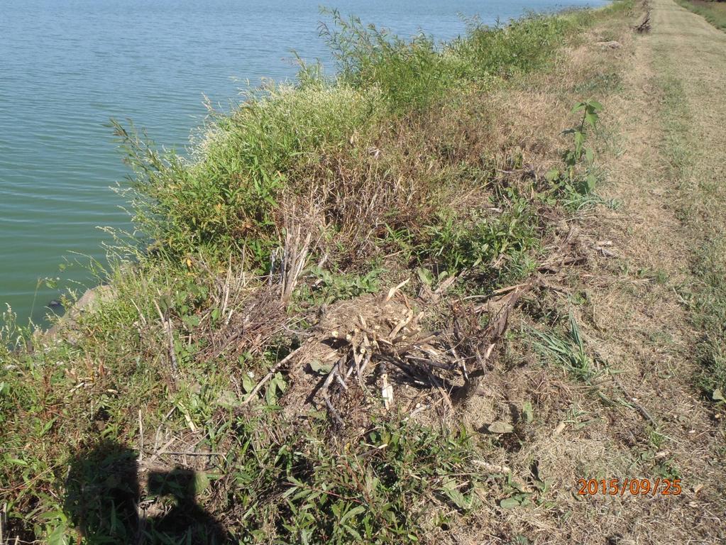 Inspection Report: City of Bald Knob, AFIN: 73-00077, Permit #: AR0035807 Water Division Photographic Evidence