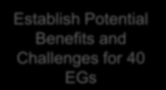 Benefits and Challenges for 40 EGs