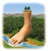 The ecological footprint The environmental impact of a person or population Amount of biologically productive land + water For