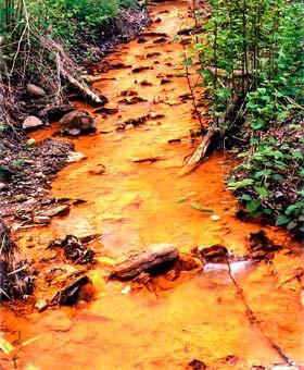 Acid Mine Drainage in Rivers Sustainable? Earth Capital cannot absorb, purify, and cycle these toxins quickly enough.