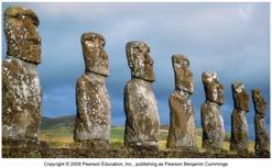 The lesson of Easter Island: people annihilated their culture by