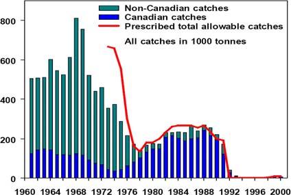 Cod Harvest Graph in the North