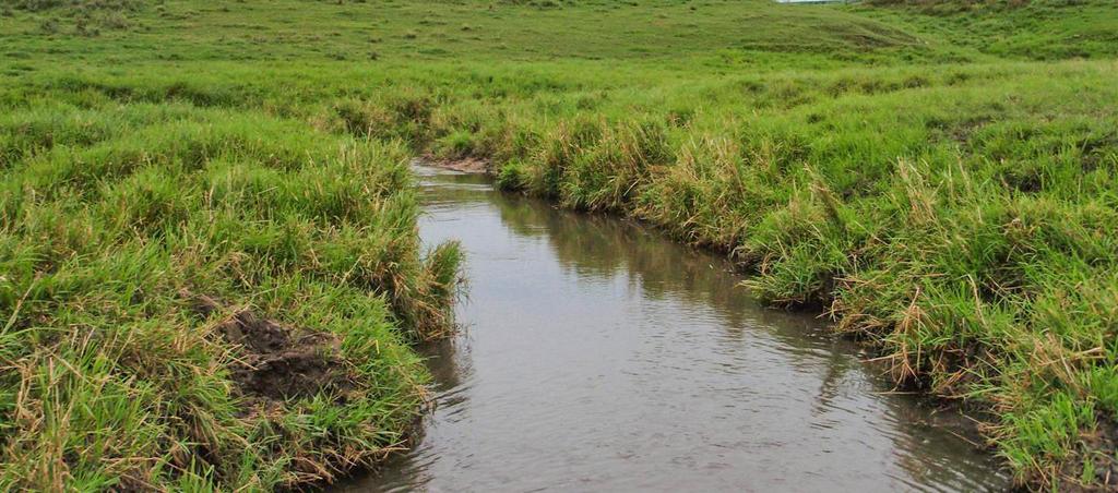Buffers improve water quality Recently, the MPCA had a request asking if we could see a difference in water quality in streams from sites where there are buffers compared to sites without buffers.