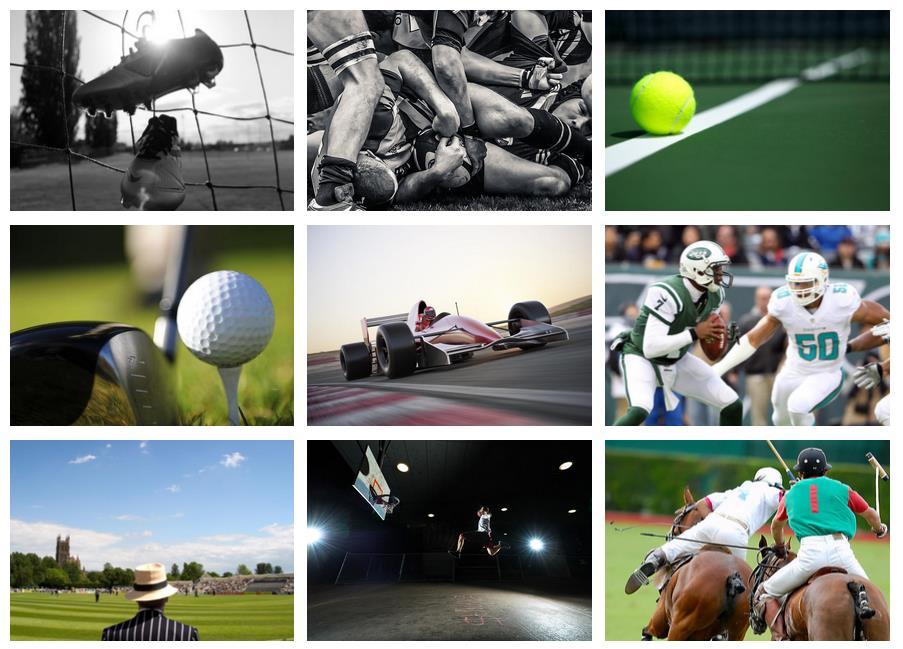 UNIQUE SPORTING DREAMS A PASSION FOR SPORT E-motions Sports provides a professional sports hospitality