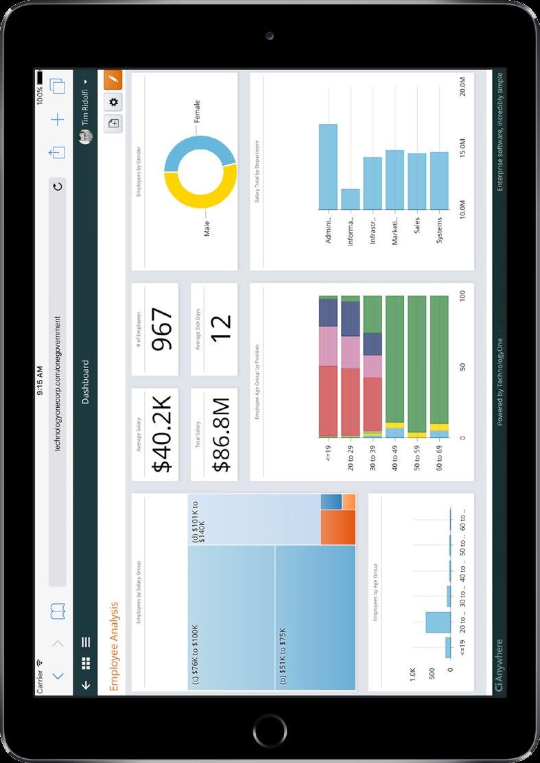 Business Analytics & Reporting Integrate, share and centrally manage data across the entire business.