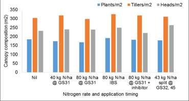 1 4.8 Total 29.5 7.2 25.5 Crop structure Plant establishment and tiller number were similar for wheat following field pea or canola, averaging 173 plants/m 2 and 305 tillers/m 2 (Figure 1).