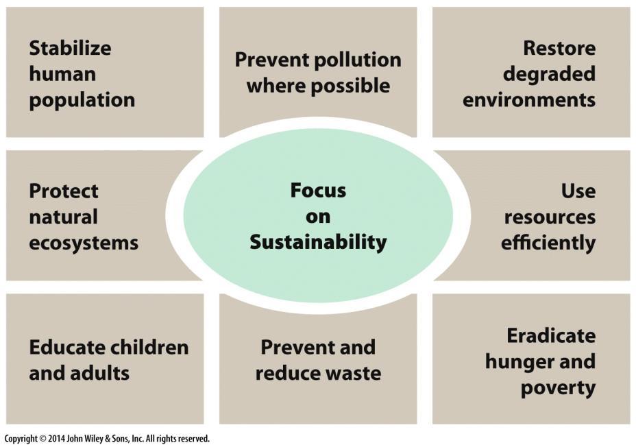 Sustainability and the Environment Sustainability is the ability to meet current needs without compromising the ability of future generations to meet their needs Based on