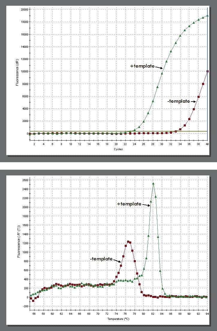 Figure 2 Mx3005P QPCR instrument amplification plot (top panel) and dissociation curve (bottom panel) of a reaction with and without template DNA.