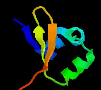 Fold: Lamda Repressor DNA Binding