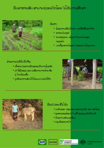 Chan Ouan from Had Pang village in Pak Ou district of Luang Prabang province produced upland rice and raised livestock, especially pigs and poultry.