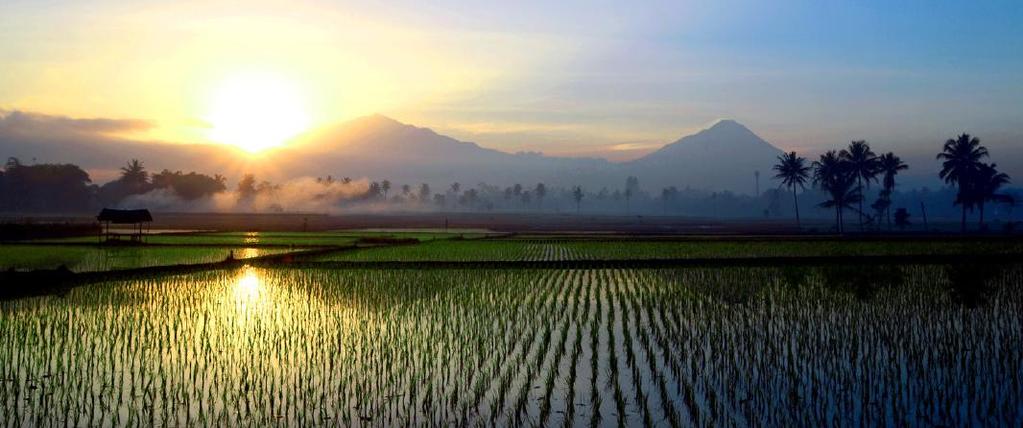 Sustainable Management of Rice production systems through introduction of improved Technologies - SMART in Viet Nam Vietnam BRIA aims to improve livelihood options for rice farmers in the three