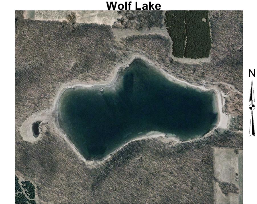 Wolf Lake ~ Location Wolf Lake Southwest of CTH GG & CTH A intersection Surface Area: 36 acres Maximum Depth: 18 feet Lake Volume: 366 acre-feet Wo Water Flow Wolf Lake is a