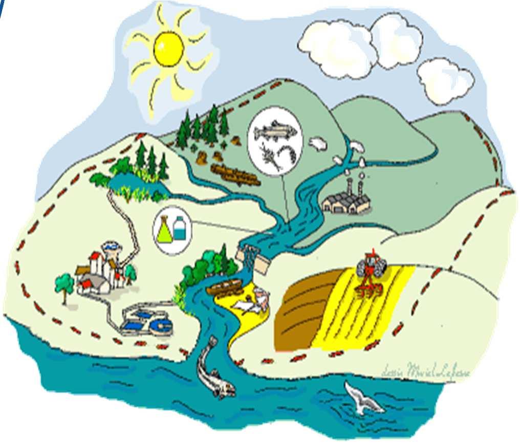 The River Basin Concept Natural geographical and hydrological unit A river basin