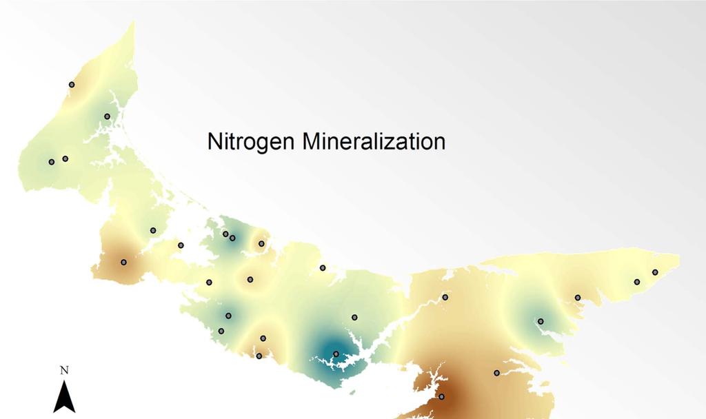 Estimated nitrogen