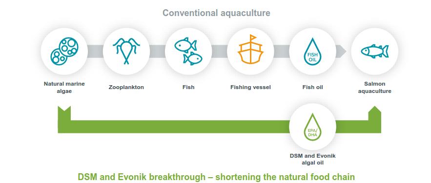 Innovation driving growth: Sustainable Omega-3 solution for aquaculture Omega-3 fatty acids (EPA and DHA) from natural algae for animal nutrition without using fish oil from wild-caught fish Build