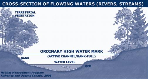 parts of the water body bed and banks that are frequently flooded by water so as to leave a mark on the land and where the natural vegetation changes from predominately aquatic vegetation to
