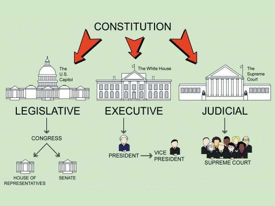 Based on the chart below what are the three branches of government established by the Constitution? Why do you think the authors of the Constitution created these branches?