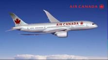 Air Canada Describe the market for domestic air travel in Canada. vhow does Air Canada determine the prices for its tickets?