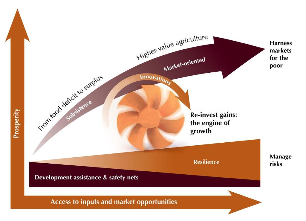 - is a development pathway in which value-adding innovations (technical, policy, institutional and others) enable the poor to capture larger rewards from markets, while managing their risks.