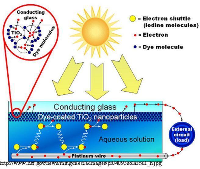 Nanoparticles are of most importance in making solar cells. They are important because nanoparticles have high surface area, which changes the properties of materials.