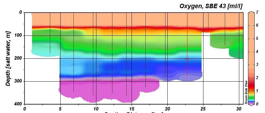 Figure 2. Oxygen concentration measurement from Muchalat Inlet taken by oxygen sensor on CTD.