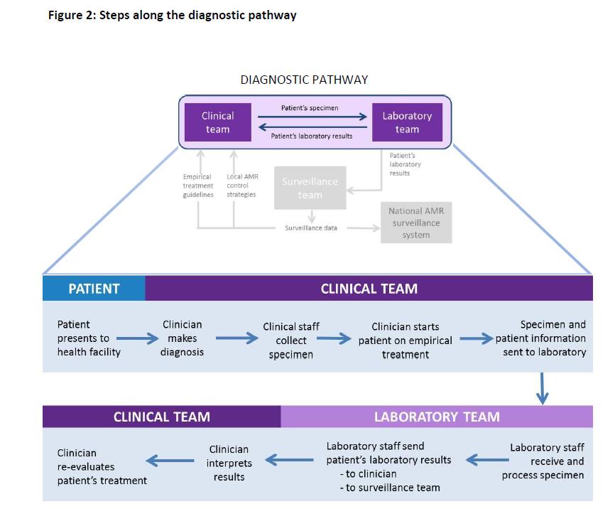 Diagnostic stewardship- definition Co-ordinated professional guidance and interventions to improve patient care and management through the appropriate use of clinical scoring algorithms, biomarker