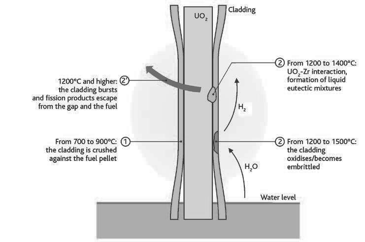 between the fuel pellet and the cladding which is filled with gas). Figure 4.2.