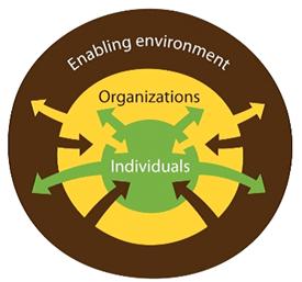 5 dimensions: individual, organizational and the enabling environment. The components of the framework are discussed in the following paragraphs. Figure 1: The CD Framework in FAO 10.