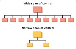 03 THE SPAN OF CONTROL The span of control is the number of