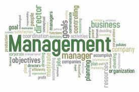 Introduction to Management and Organizations Dr.