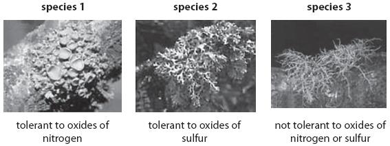 Questions Q1. The photographs show three species of lichen. Each species can tolerate different concentrations of pollutants present in the air.